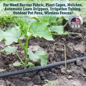 Garden landscape staples